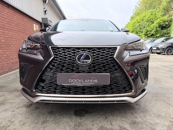 Used Lexus NX 2019 for sale - 77016304: Photo
