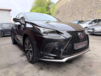 Used Lexus NX 2019 for sale - 77016304: Photo