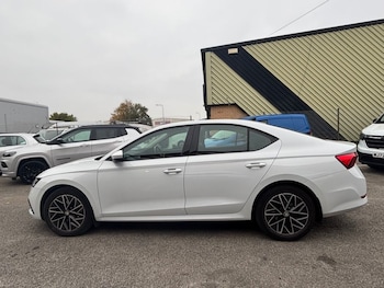 Used Skoda Octavia 2021 for sale - 76312983: Photo