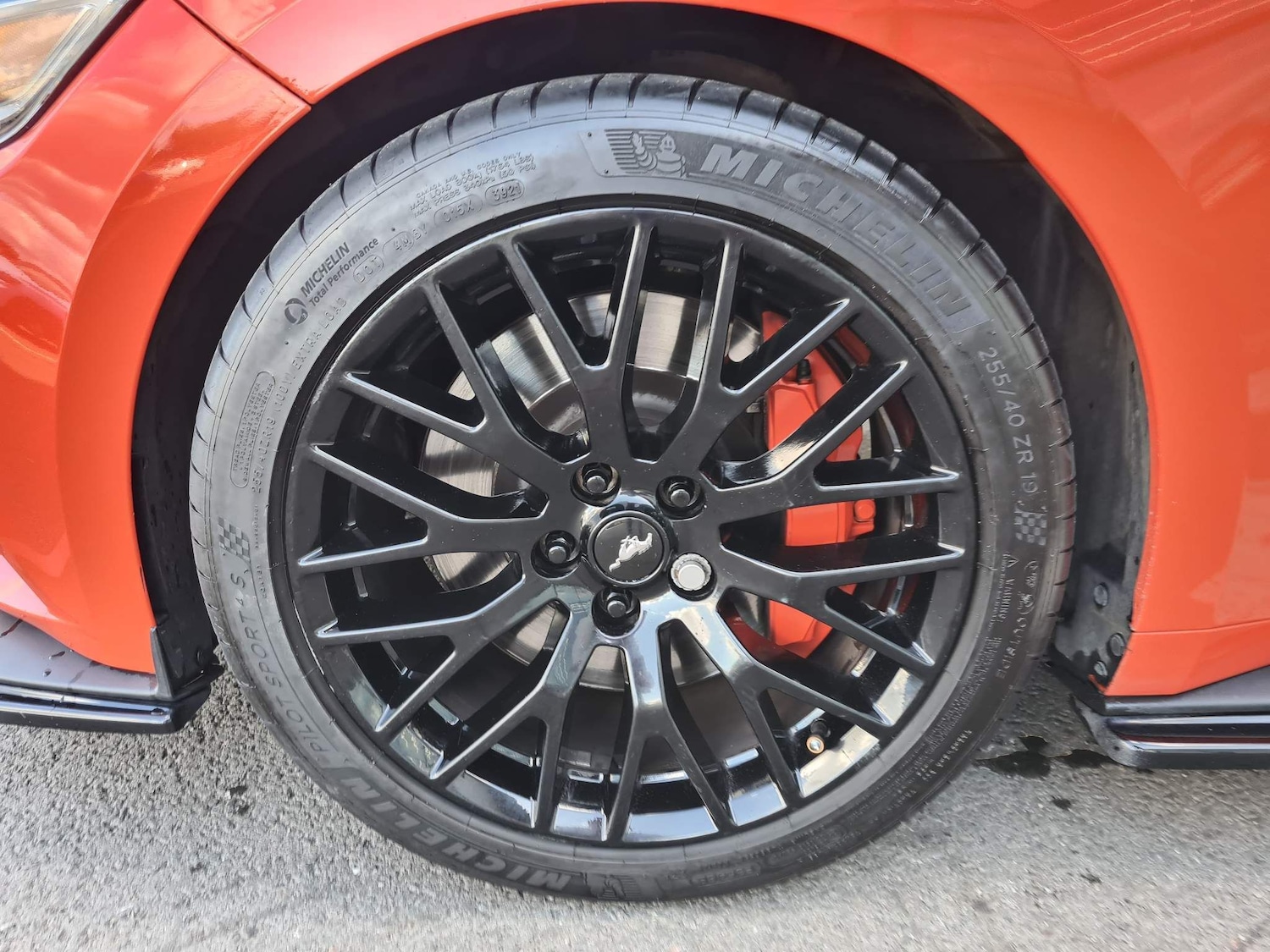 Used Ford Mustang 2016 for sale - 64251266: Photo 28