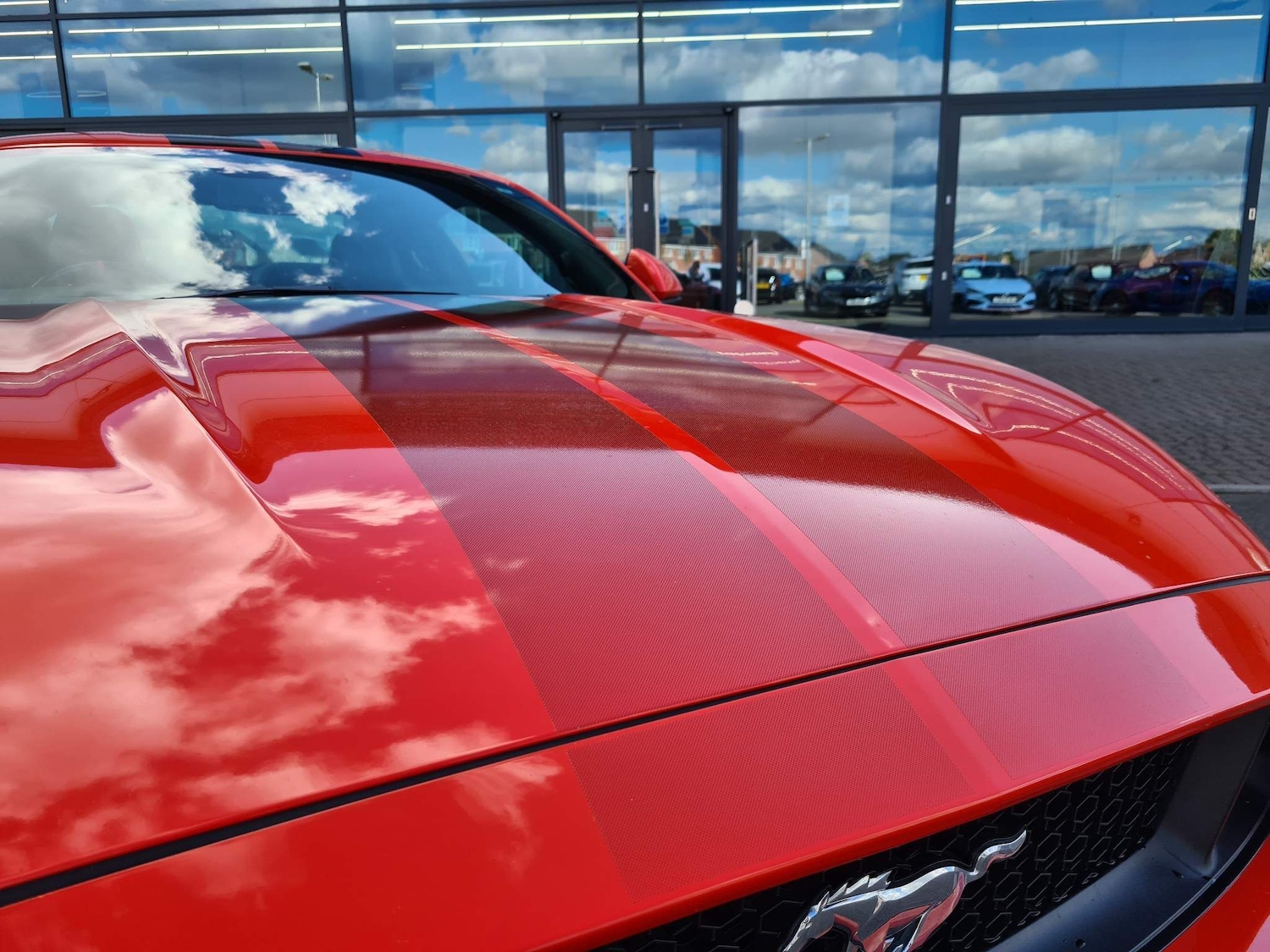 Used Ford Mustang 2016 for sale - 64251266: Photo 41