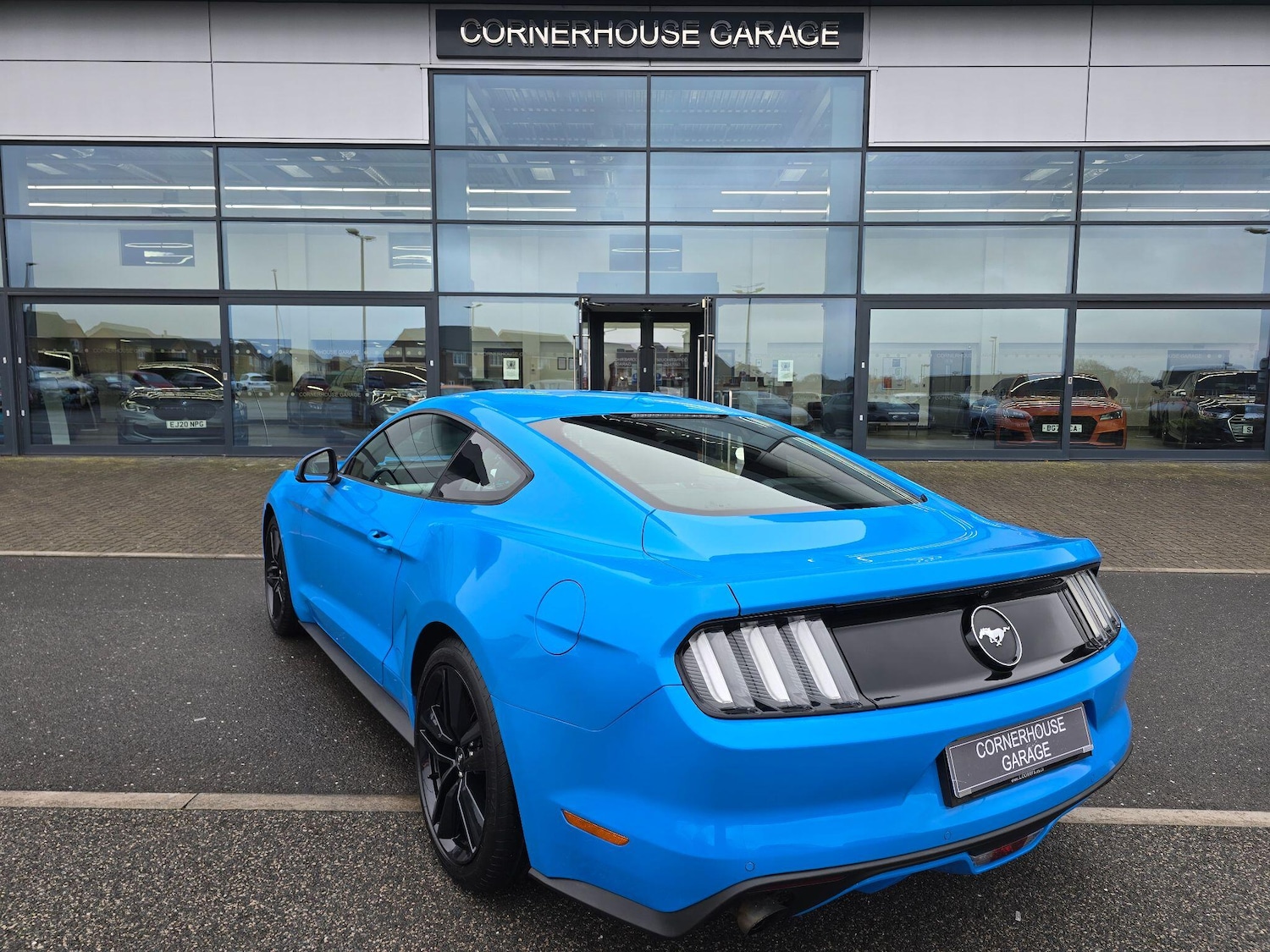 Used Ford Mustang 2017 for sale - 77612362: Photo 13