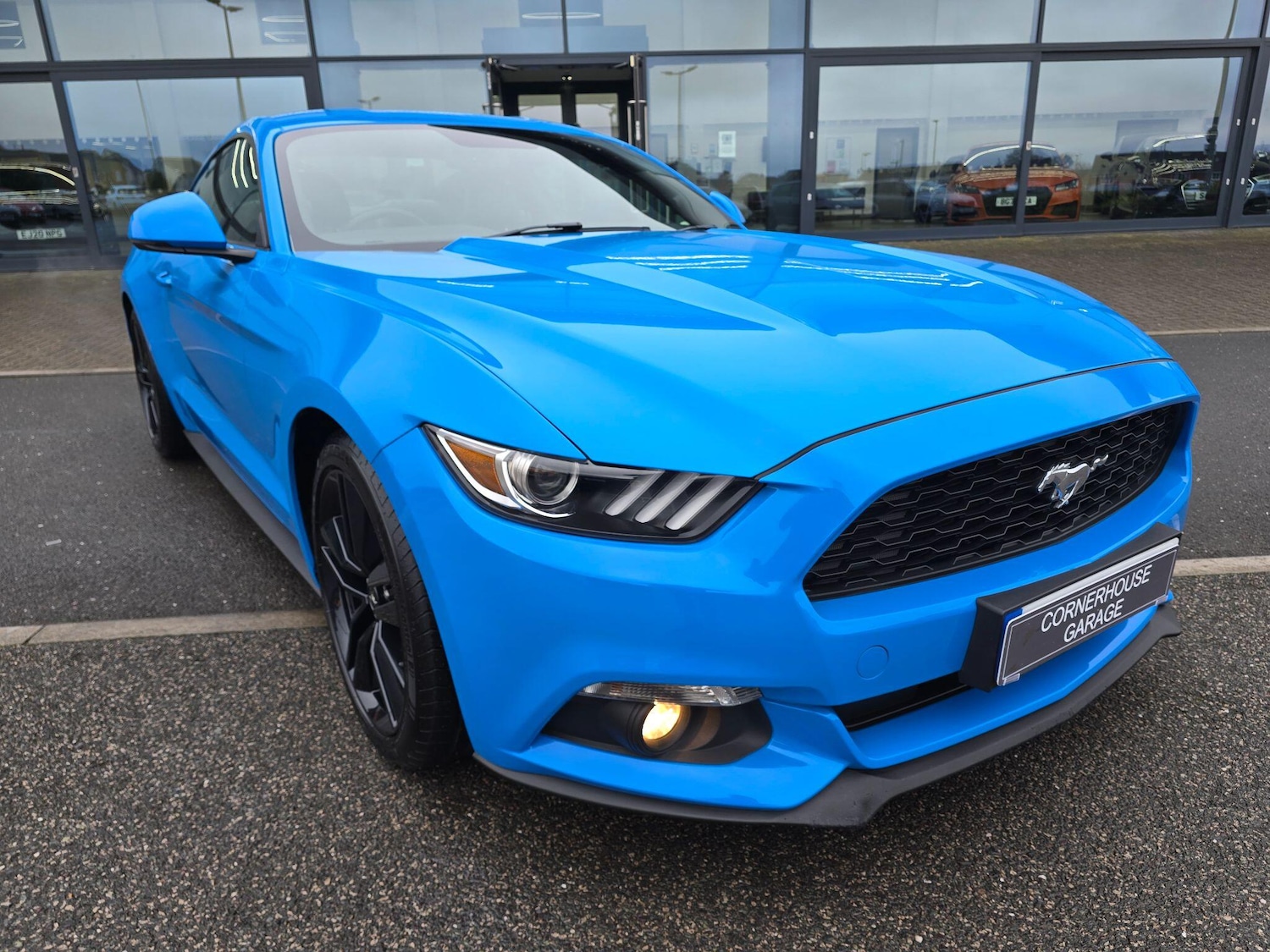 Used Ford Mustang 2017 for sale - 77612362: Photo 18