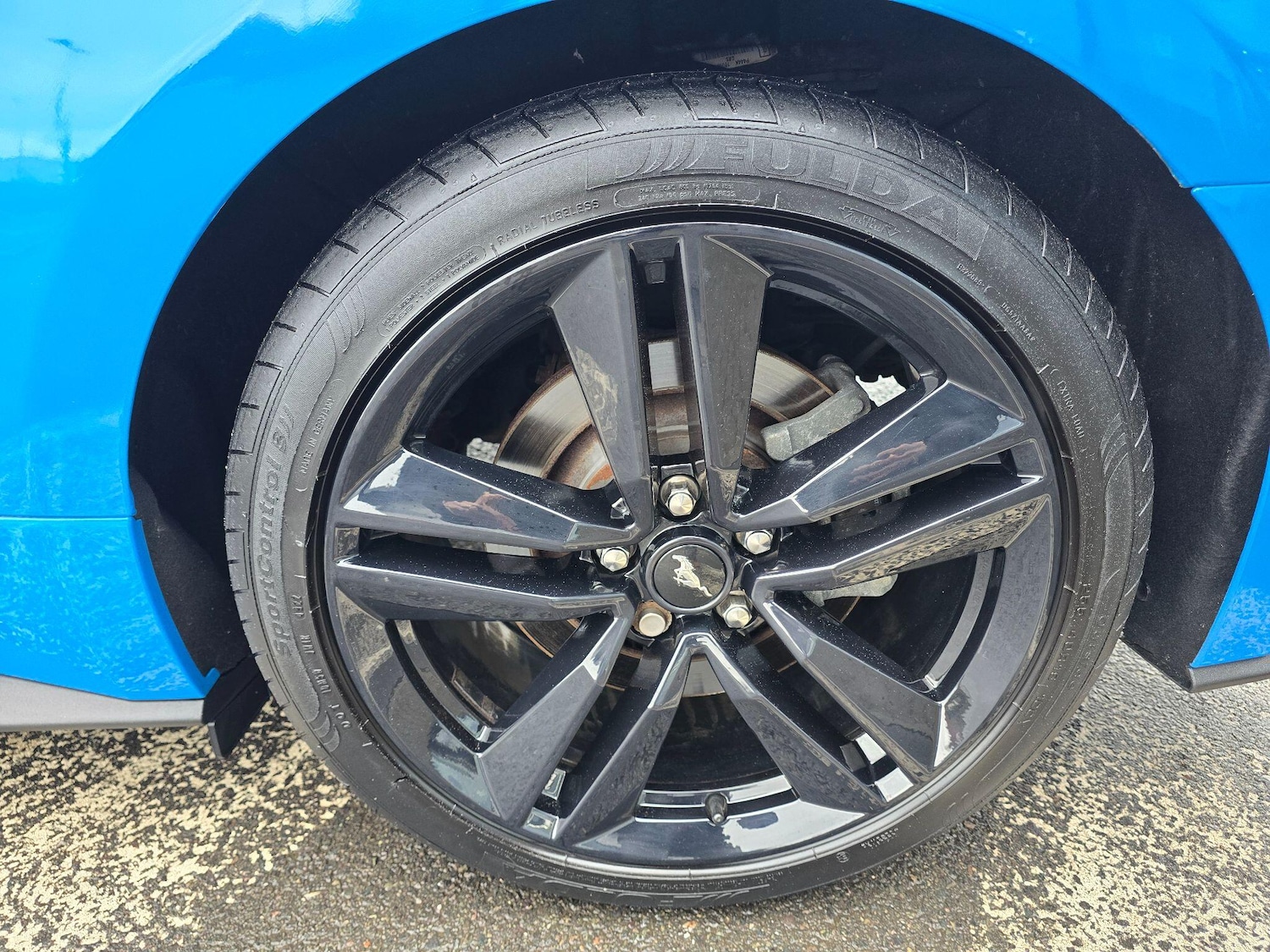 Used Ford Mustang 2017 for sale - 77612362: Photo 25