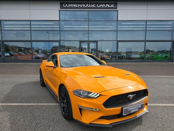 Used Ford Mustang 2019 for sale - 78741701: Photo