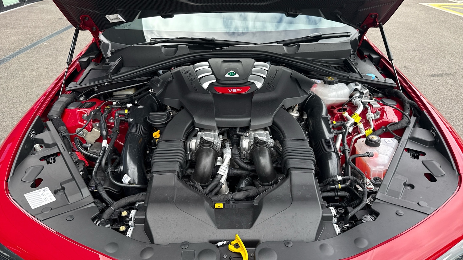 Used Alfa Romeo Giulia 2025 for sale - 77121172: Photo 19