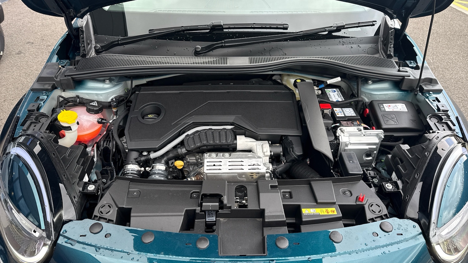 Used Fiat 600 2025 for sale - 76248423: Photo 18