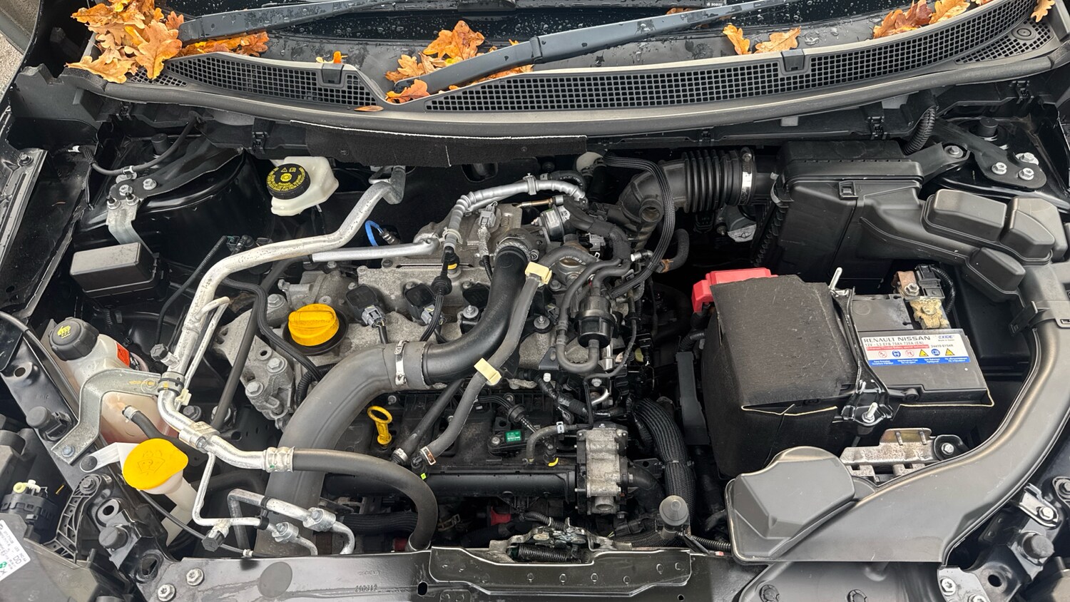 Used Renault Kadjar 2017 for sale - 76338276: Photo 18