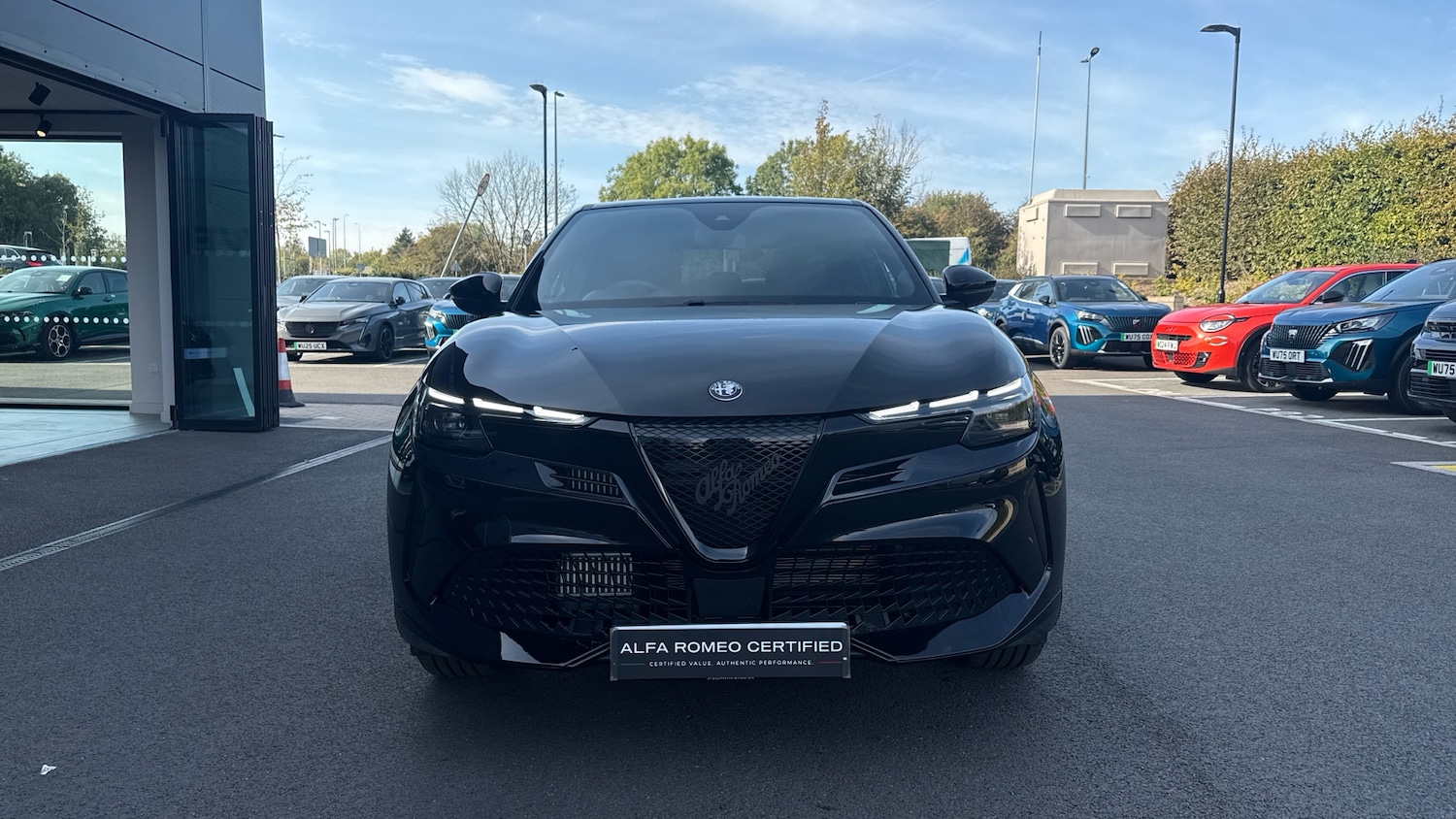 Used Alfa Romeo Junior 2025 for sale - 76043881: Photo 8