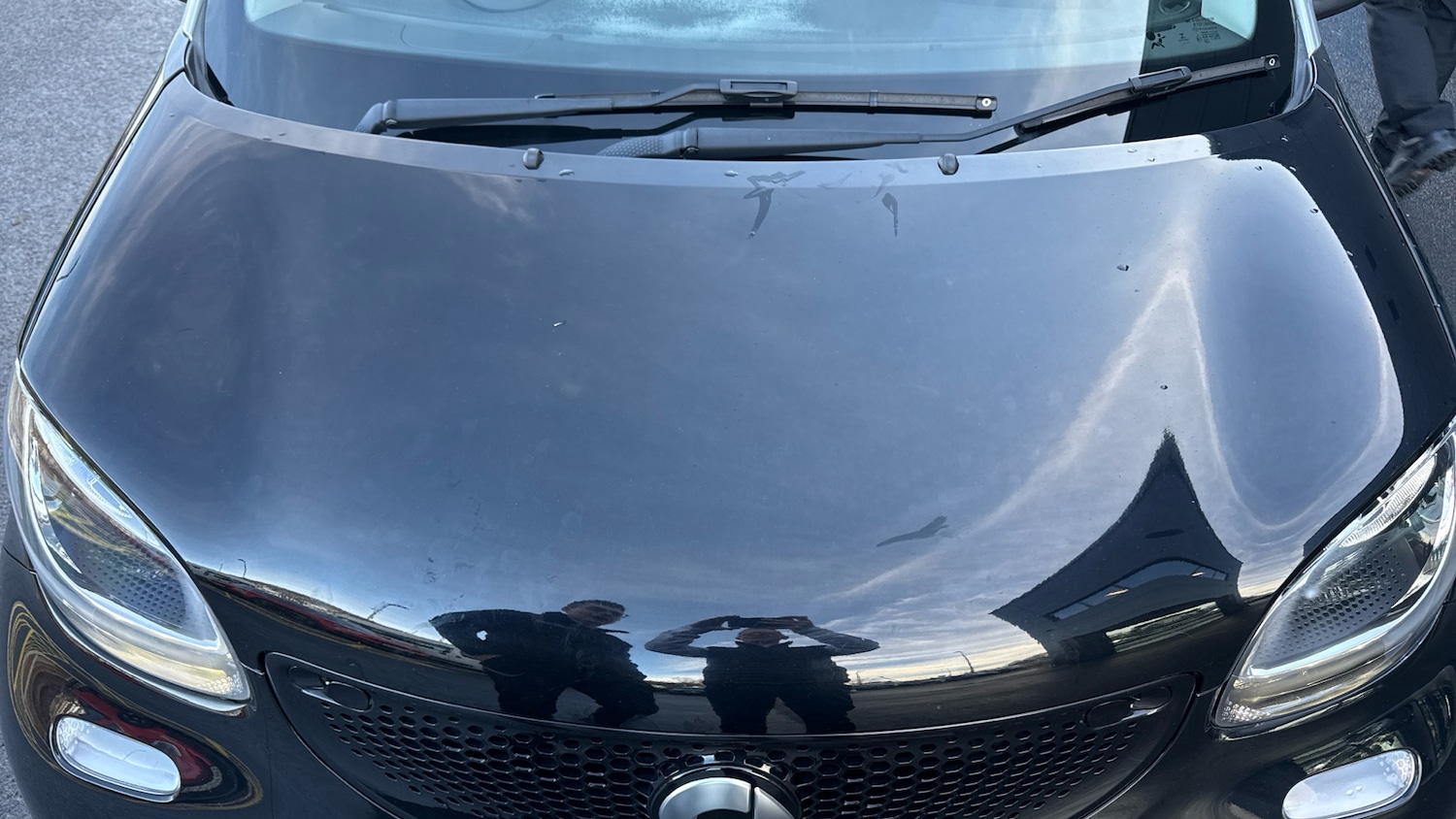 Used smart forfour 2018 for sale - 77315784: Photo 19