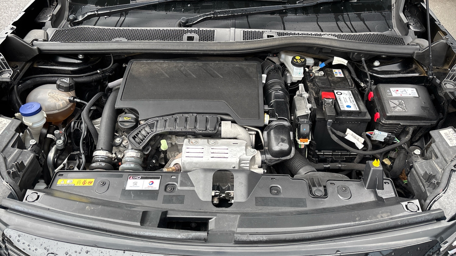 Used Peugeot 2008 2023 for sale - 77441900: Photo 18