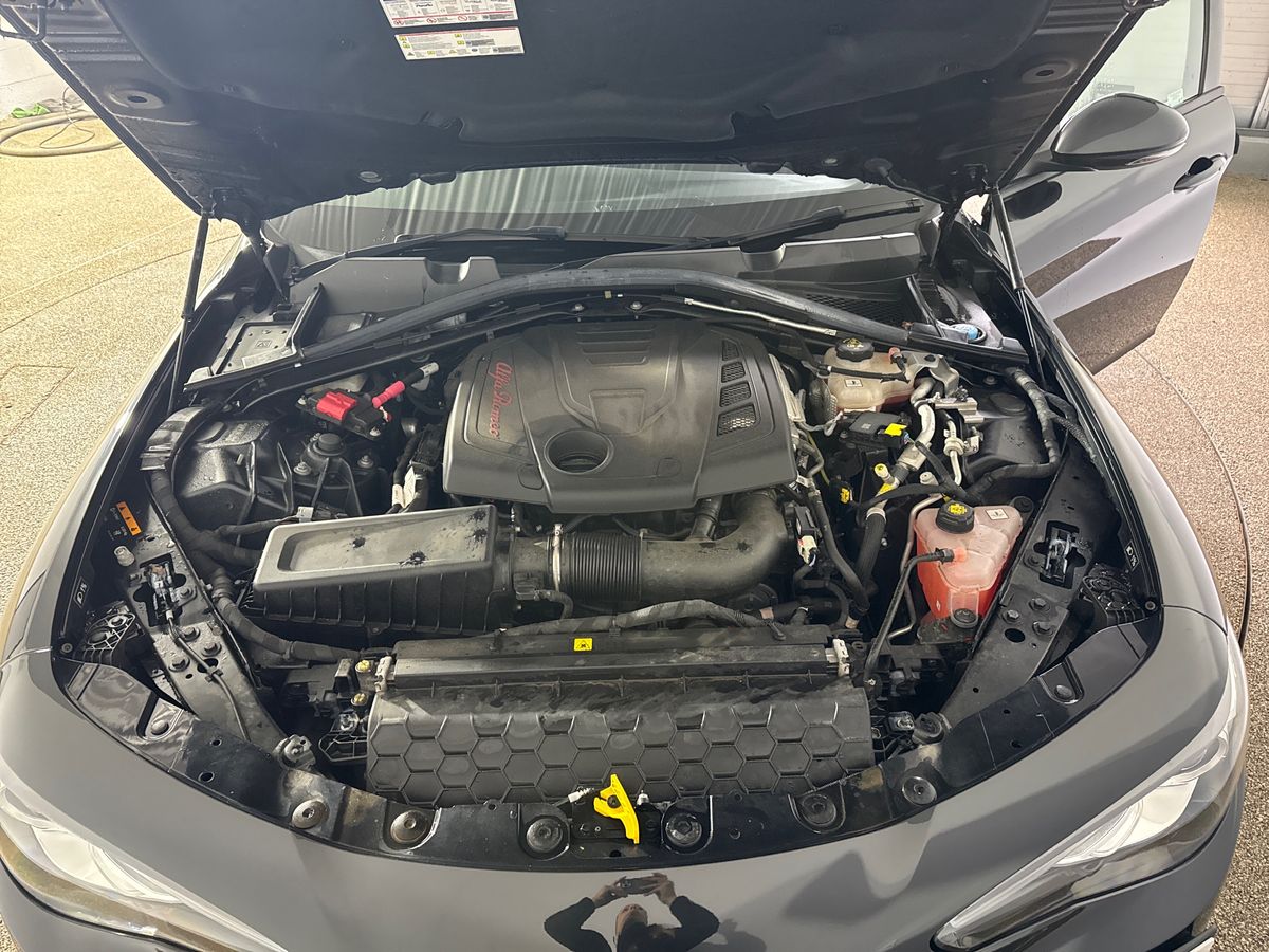 Used Alfa Romeo Giulia 2021 for sale - 77224911: Photo 33