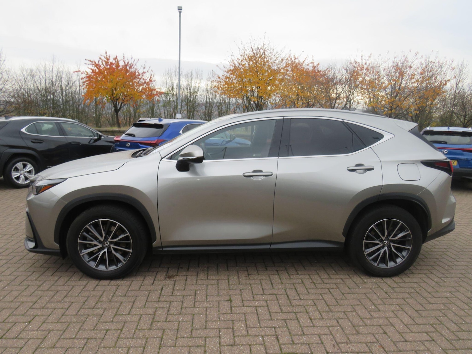 Used Lexus NX 2023 for sale - 76538504: Photo 8