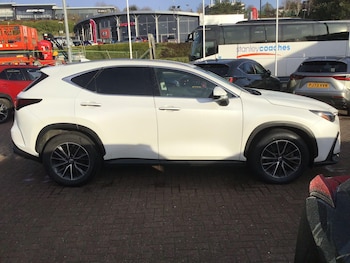 Used Lexus NX 2023 for sale - 76781956: Photo