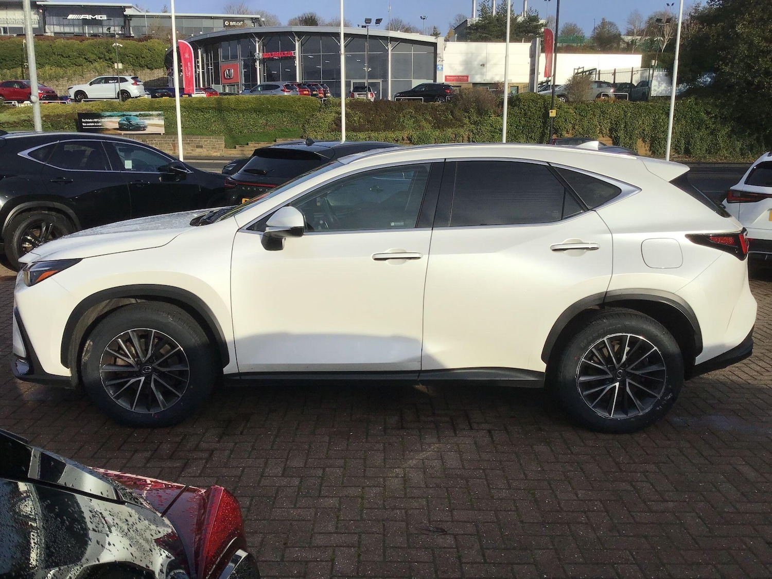 Used Lexus NX 2023 for sale - 76781956: Photo 8