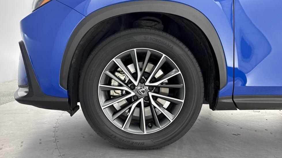 Used Lexus NX 2024 for sale - 77511000: Photo 11