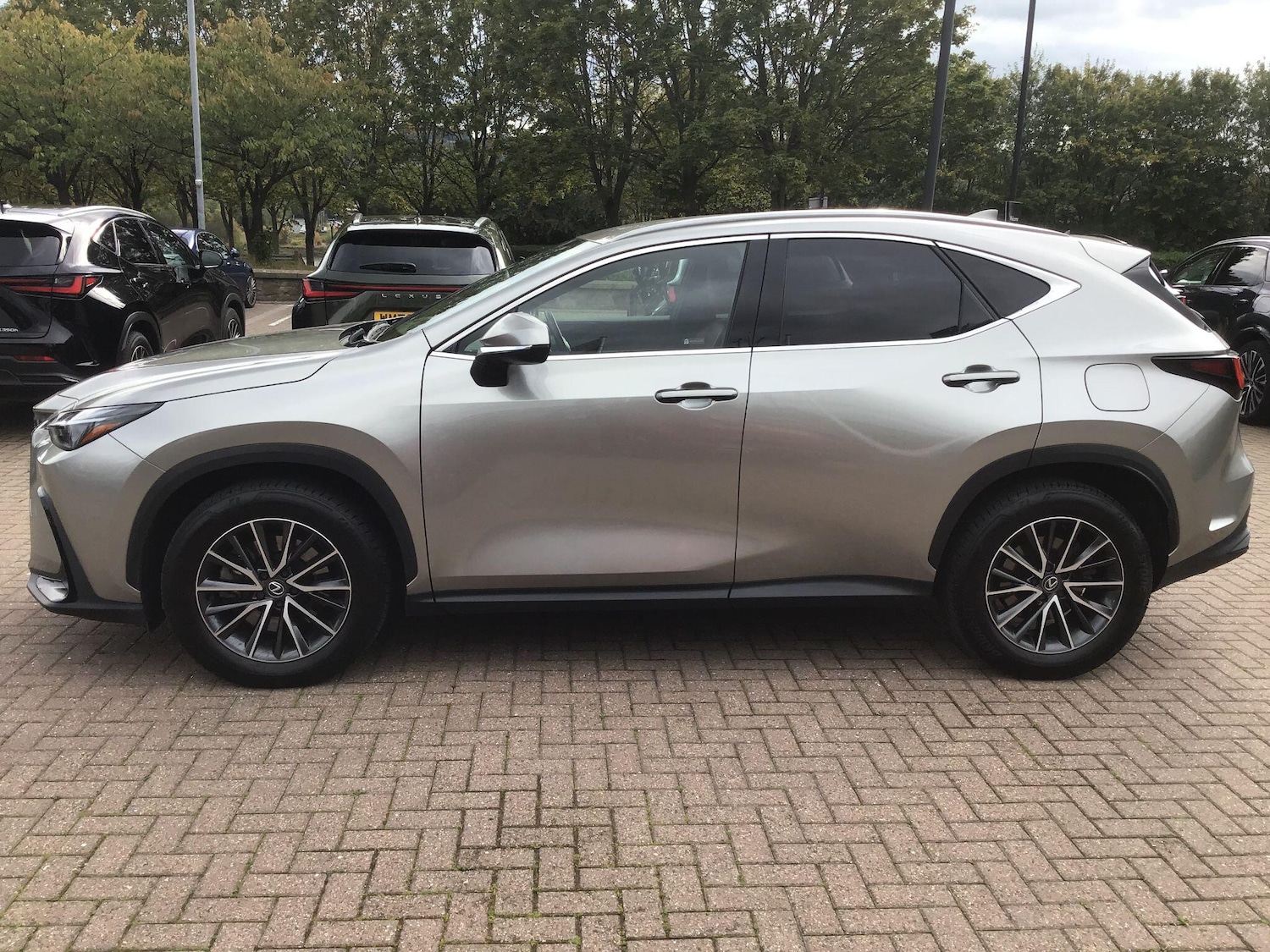 Used Lexus NX 2024 for sale - 76122269: Photo 8