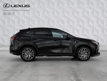 Used Lexus NX 2024 for sale - 79509353: Photo