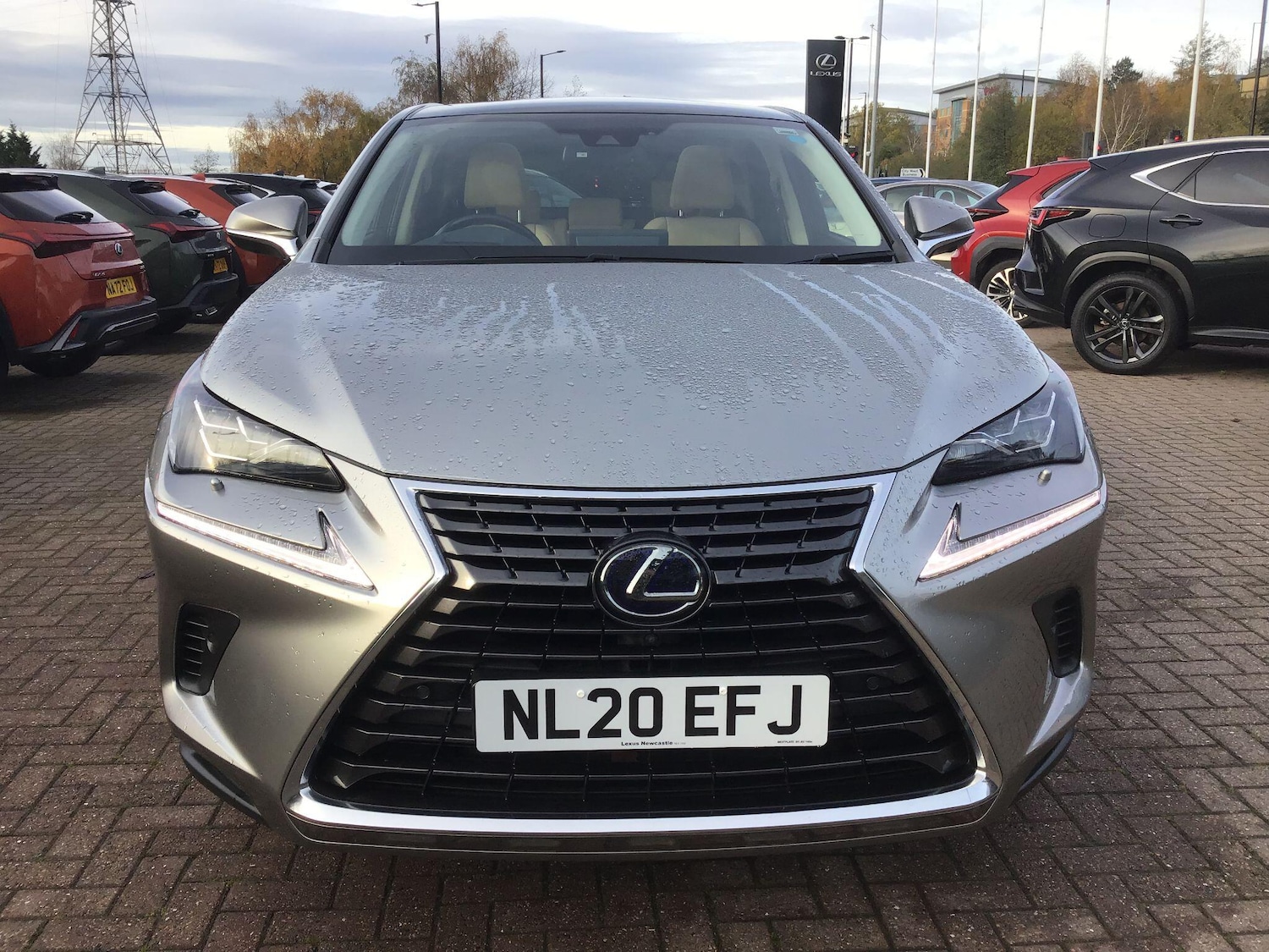 Used Lexus NX for sale - 76728647: Photo 10