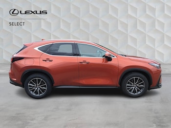 Used Lexus NX 2023 for sale - 79107179: Photo
