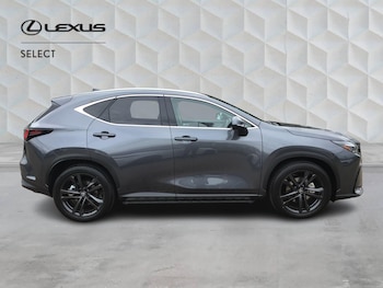 Used Lexus NX 2026 for sale - 79328582: Photo