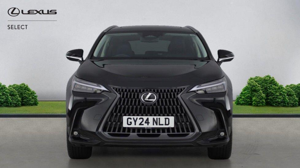 Used Lexus NX for sale - 77625878: Photo 10