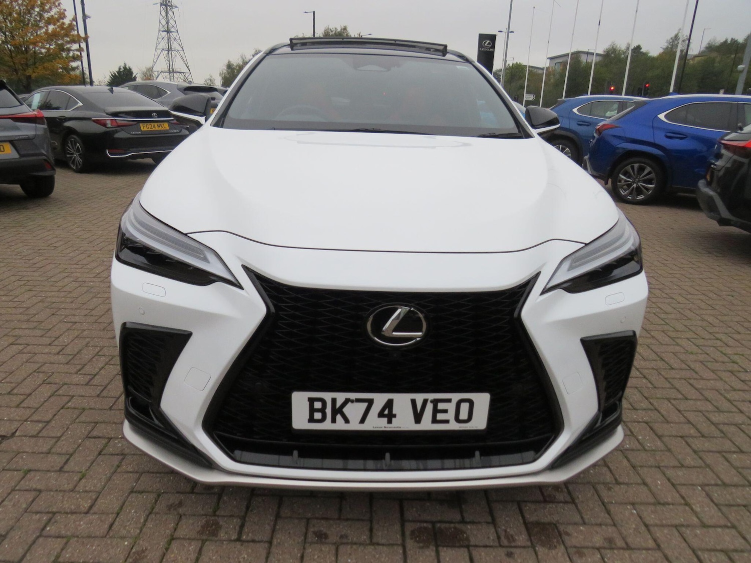 Used Lexus NX 2024 for sale - 75978004: Photo 10