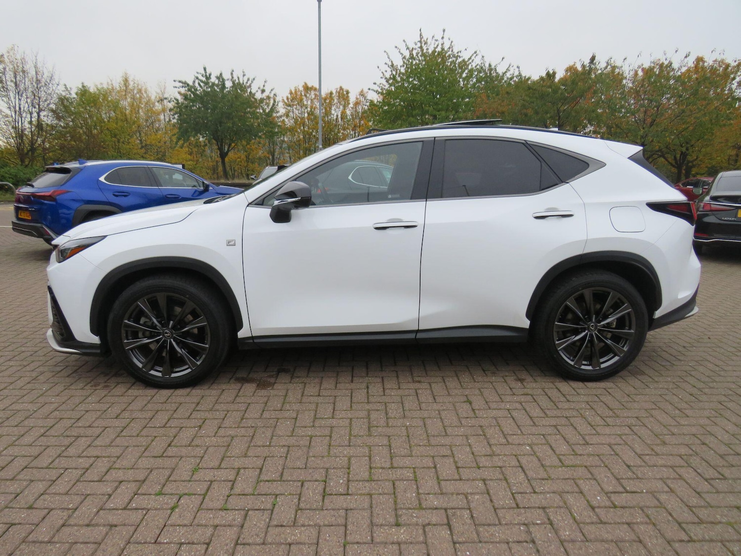Used Lexus NX 2024 for sale - 75978004: Photo 8