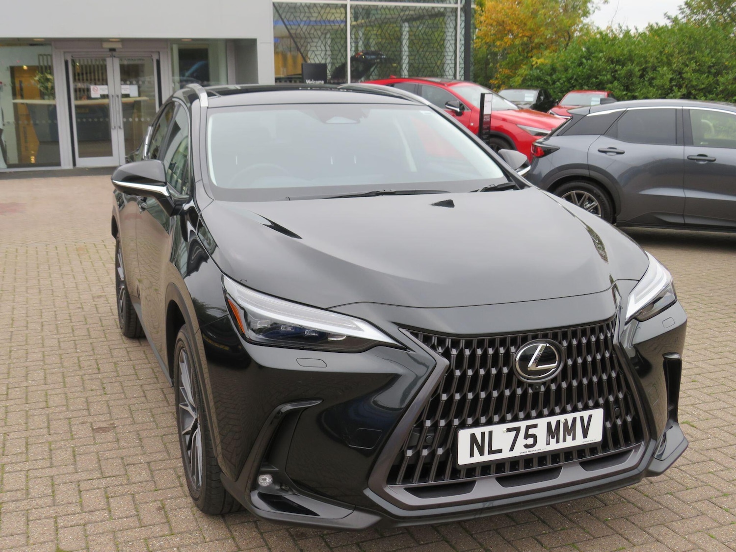 Used Lexus NX 2025 for sale - 76314948: Photo 1