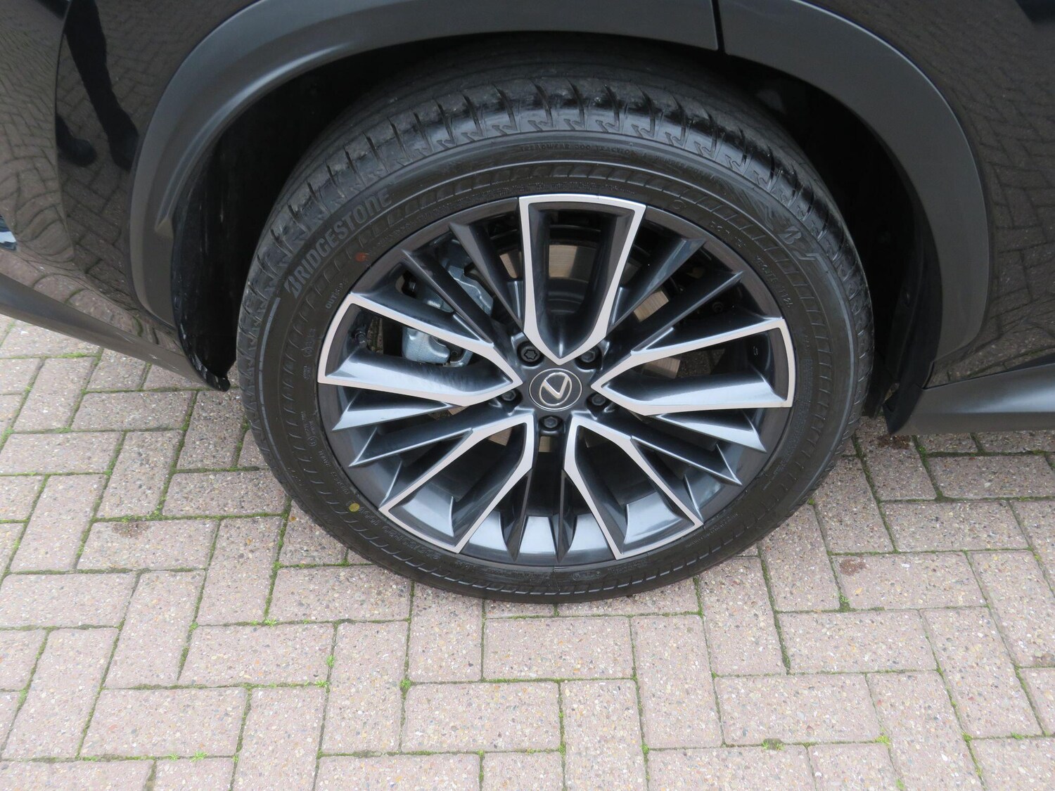 Used Lexus NX 2025 for sale - 76314948: Photo 12