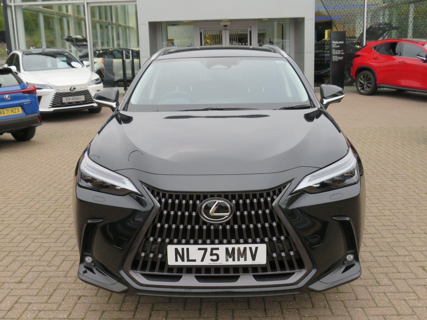 Used Lexus NX 2025 for sale - 76314948: Photo 2