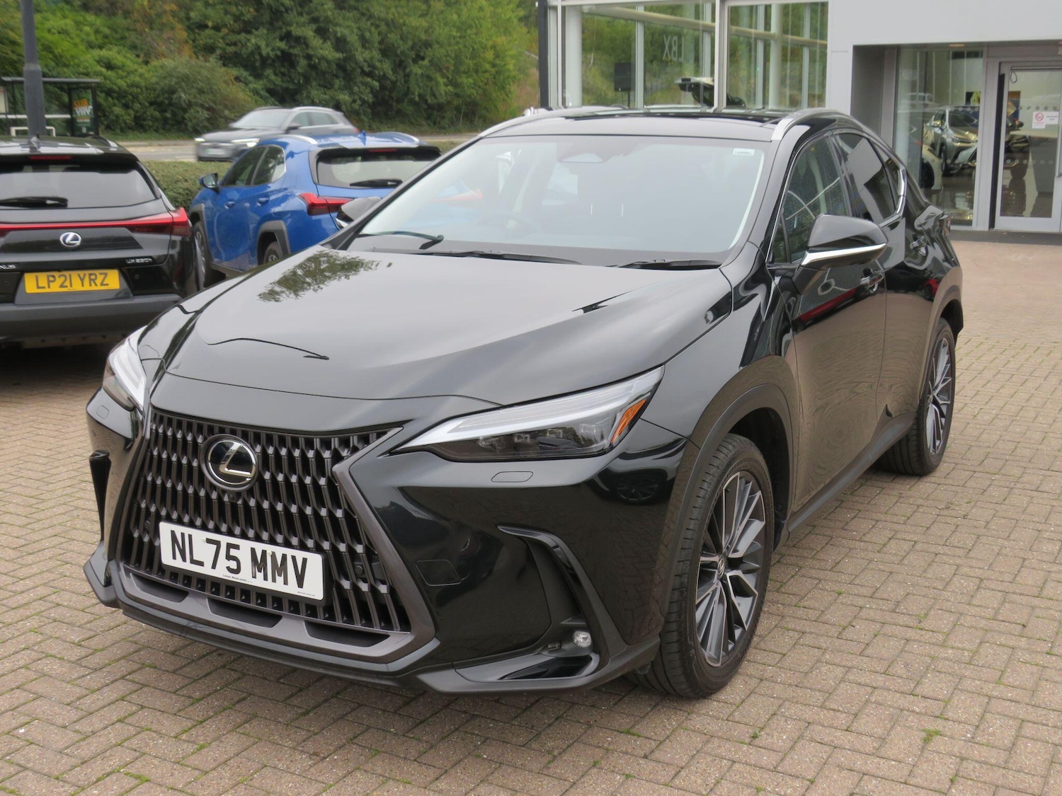 Used Lexus NX 2025 for sale - 76314948: Photo 3