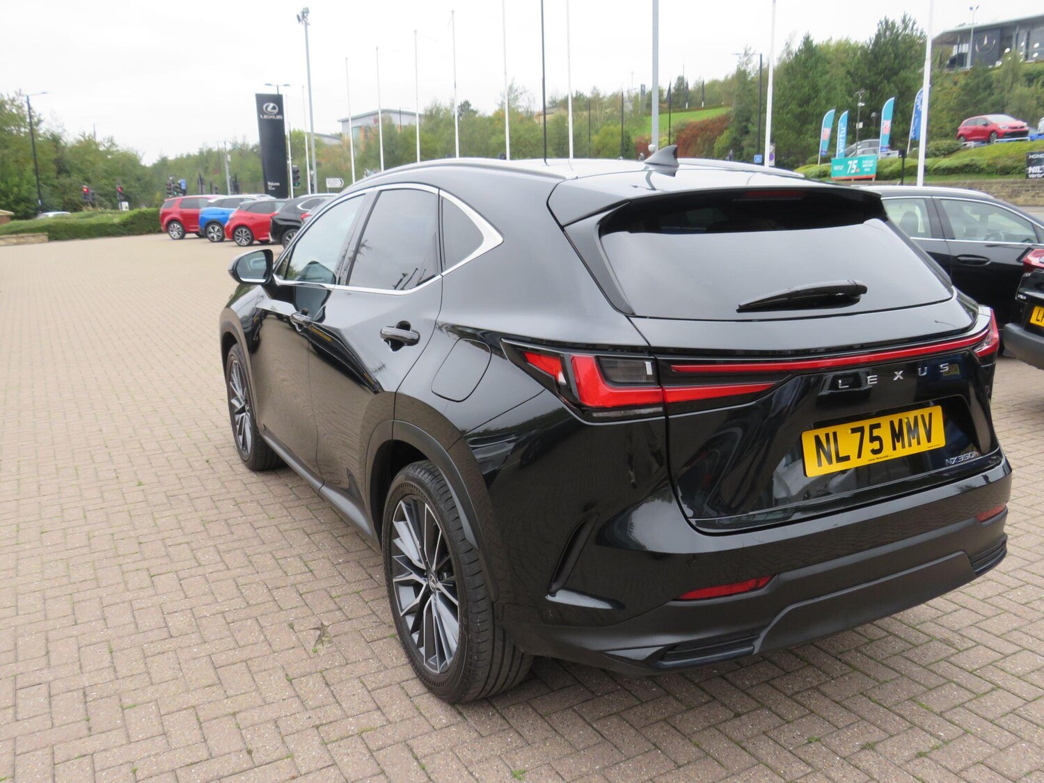 Used Lexus NX 2025 for sale - 76314948: Photo 4