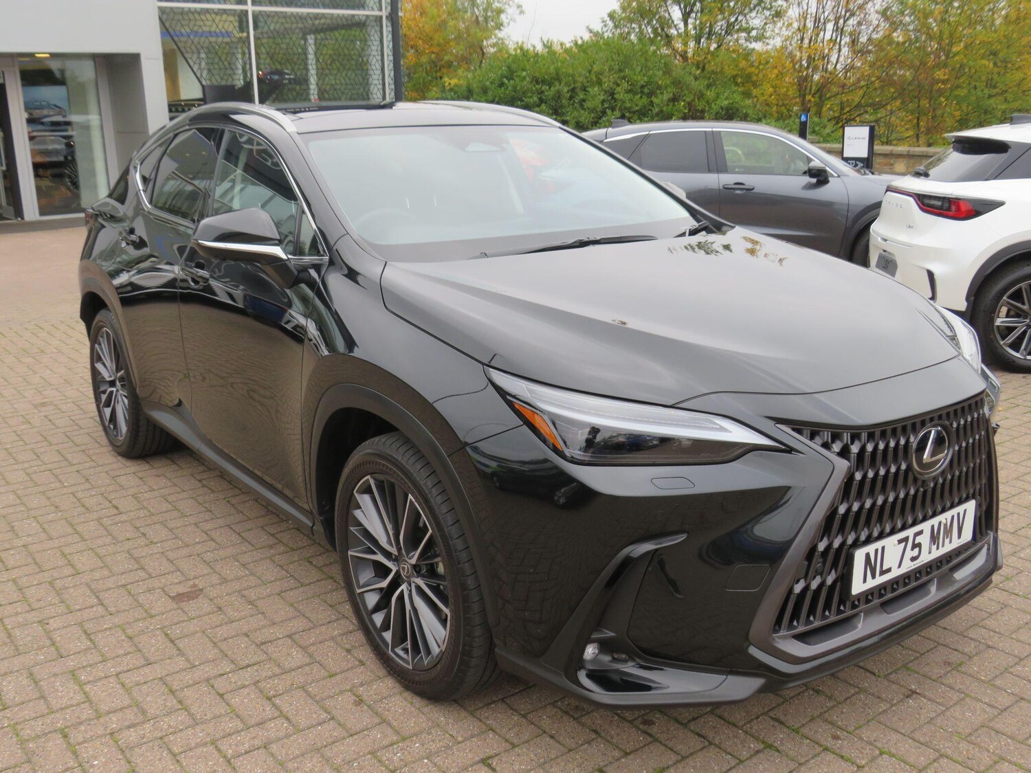Used Lexus NX 2025 for sale - 76314948: Photo 5
