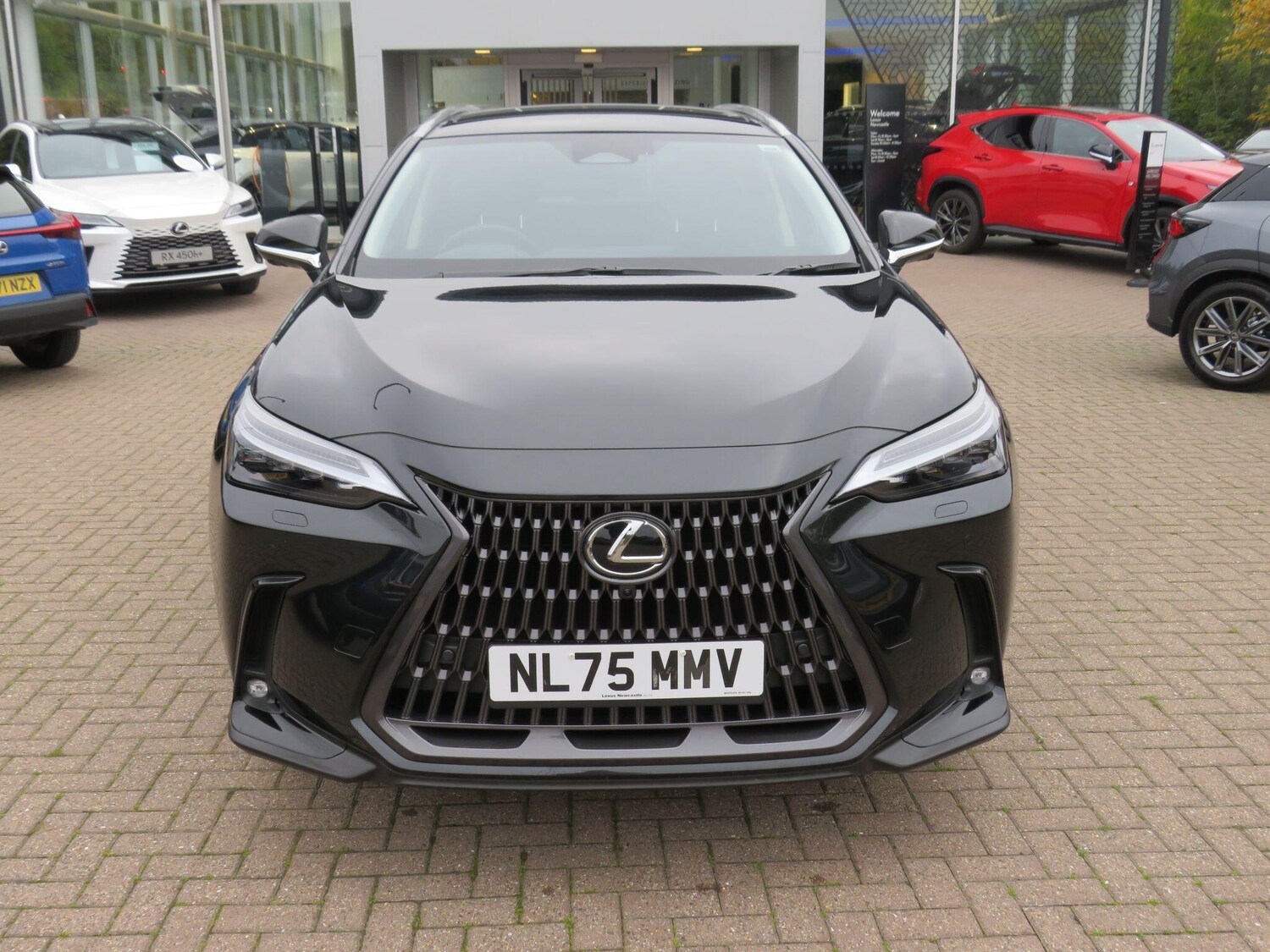 Used Lexus NX 2025 for sale - 76314948: Photo 6