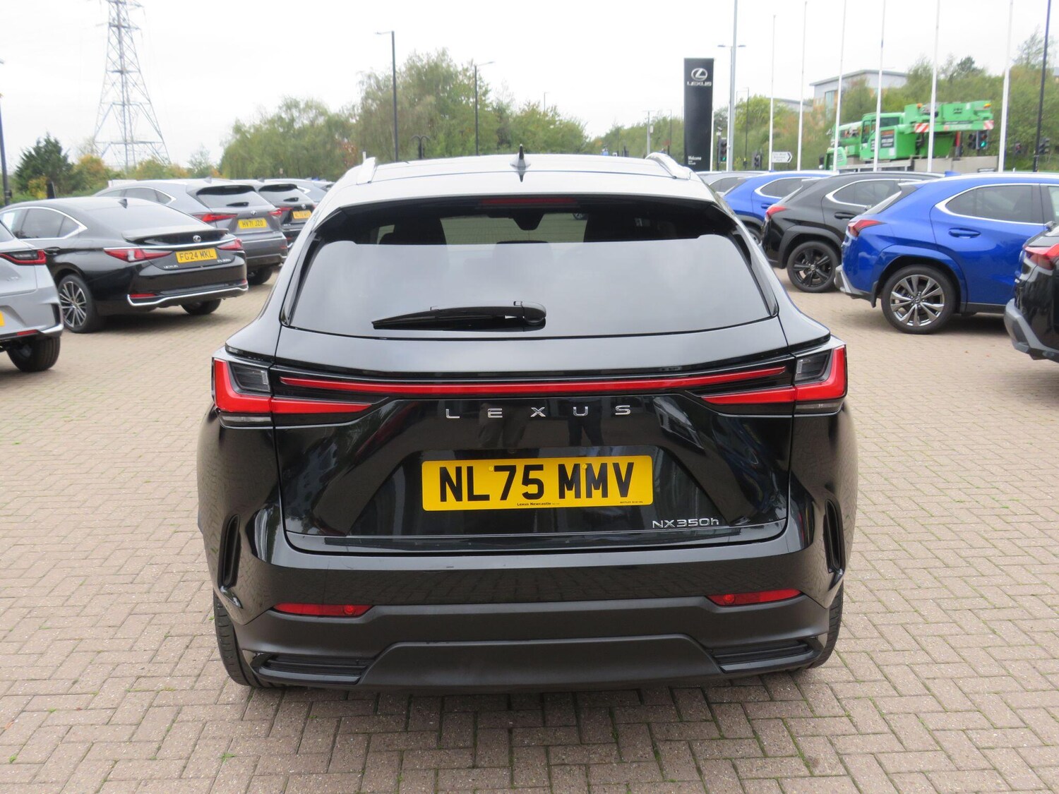 Used Lexus NX 2025 for sale - 76314948: Photo 8