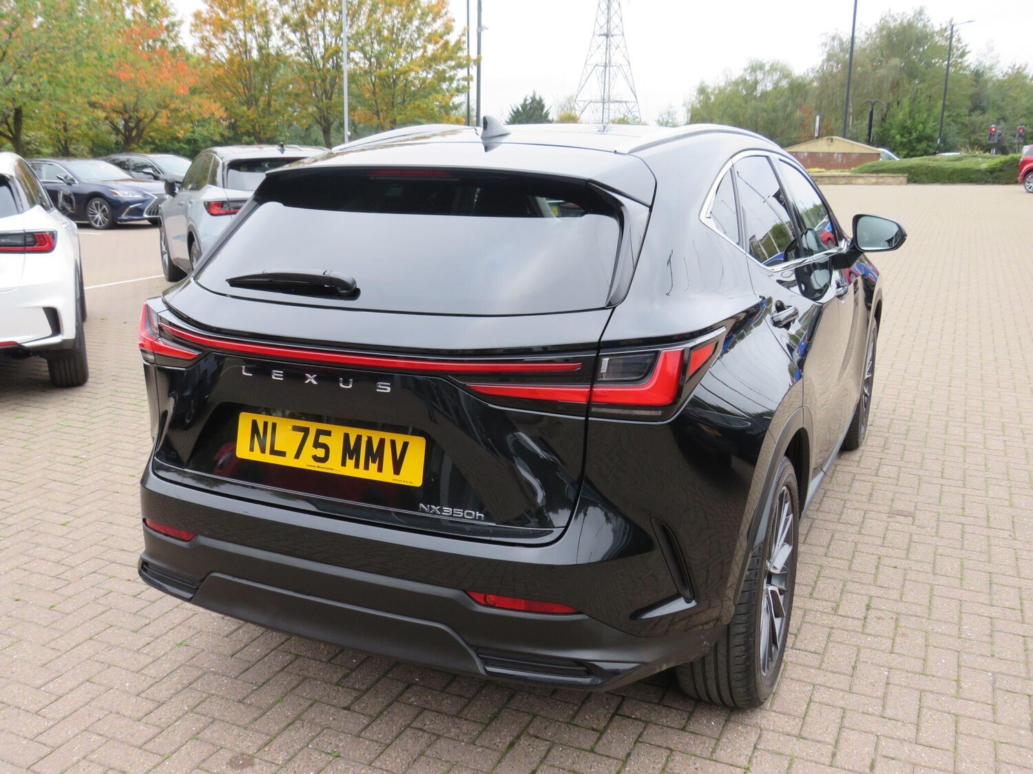 Used Lexus NX 2025 for sale - 76314948: Photo 9