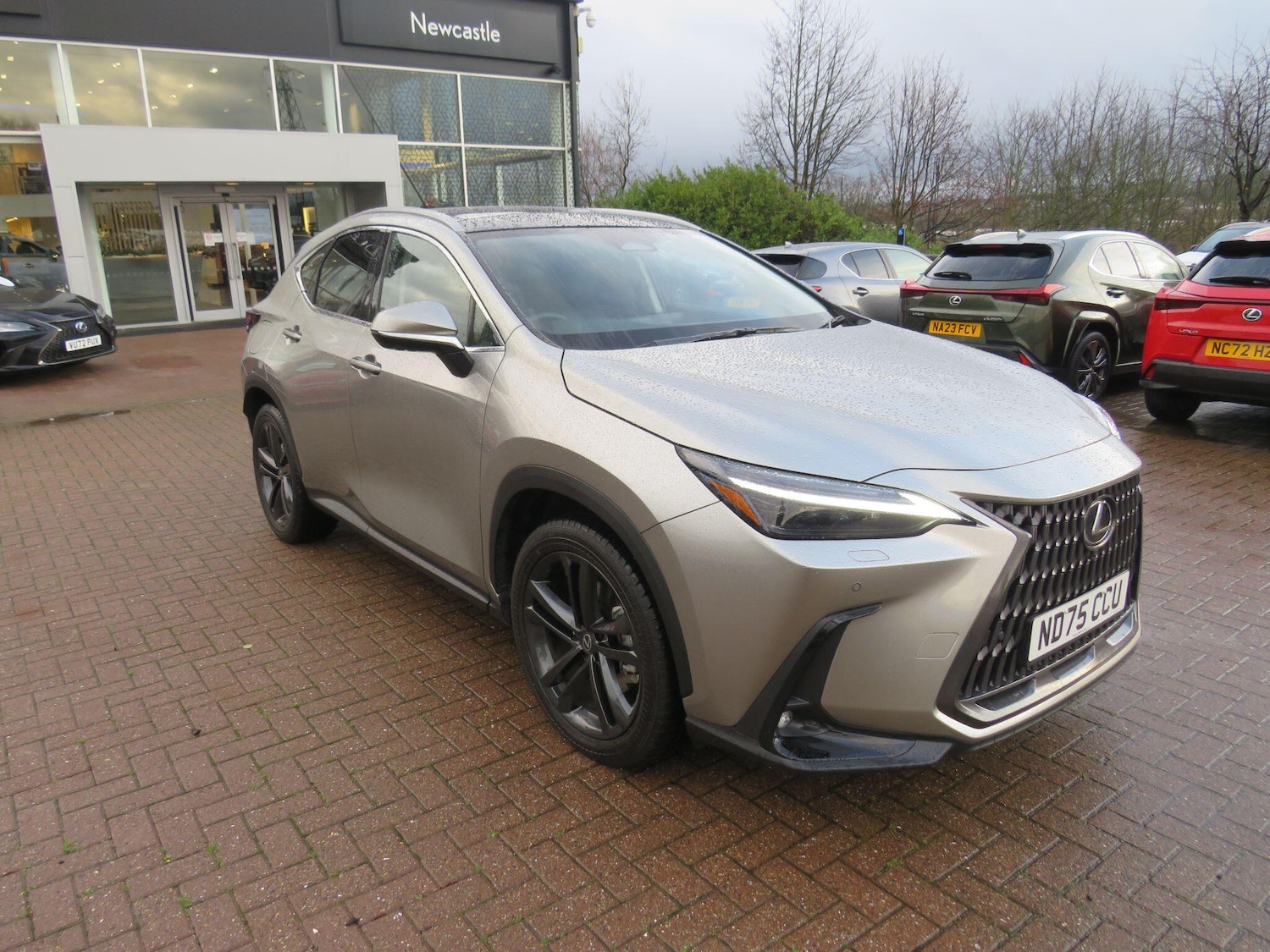 Used Lexus NX 2025 for sale - 76886872: Photo 1