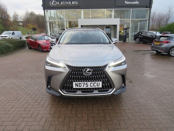 Used Lexus NX 2025 for sale - 76886872: Photo