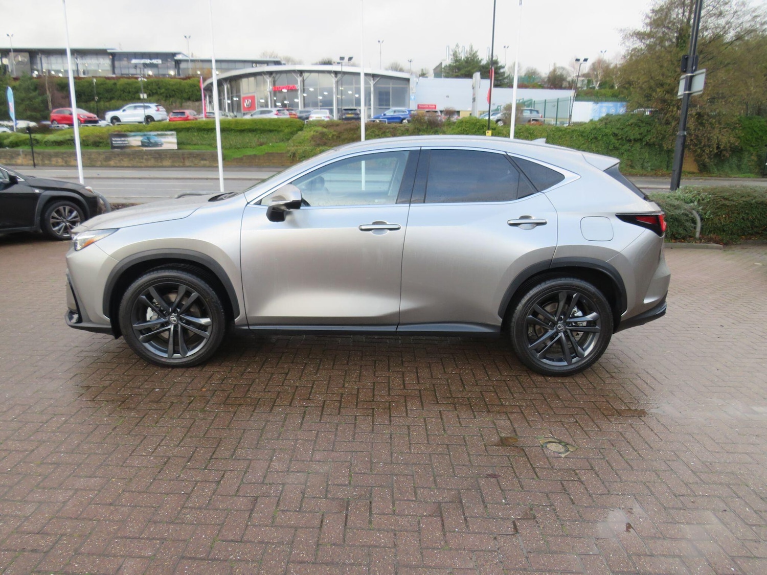 Used Lexus NX 2025 for sale - 76886872: Photo 5