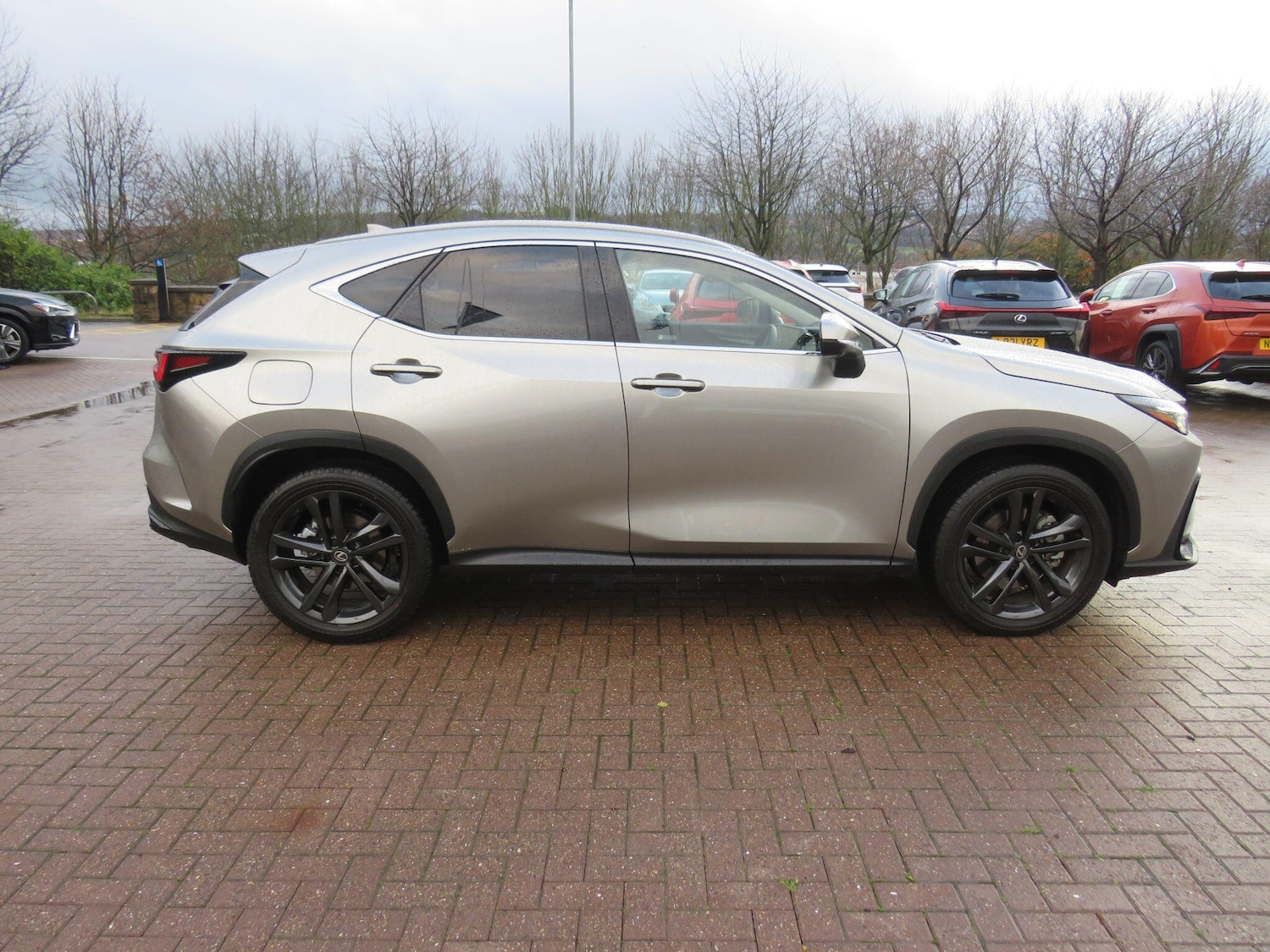 Used Lexus NX 2025 for sale - 76886872: Photo 7