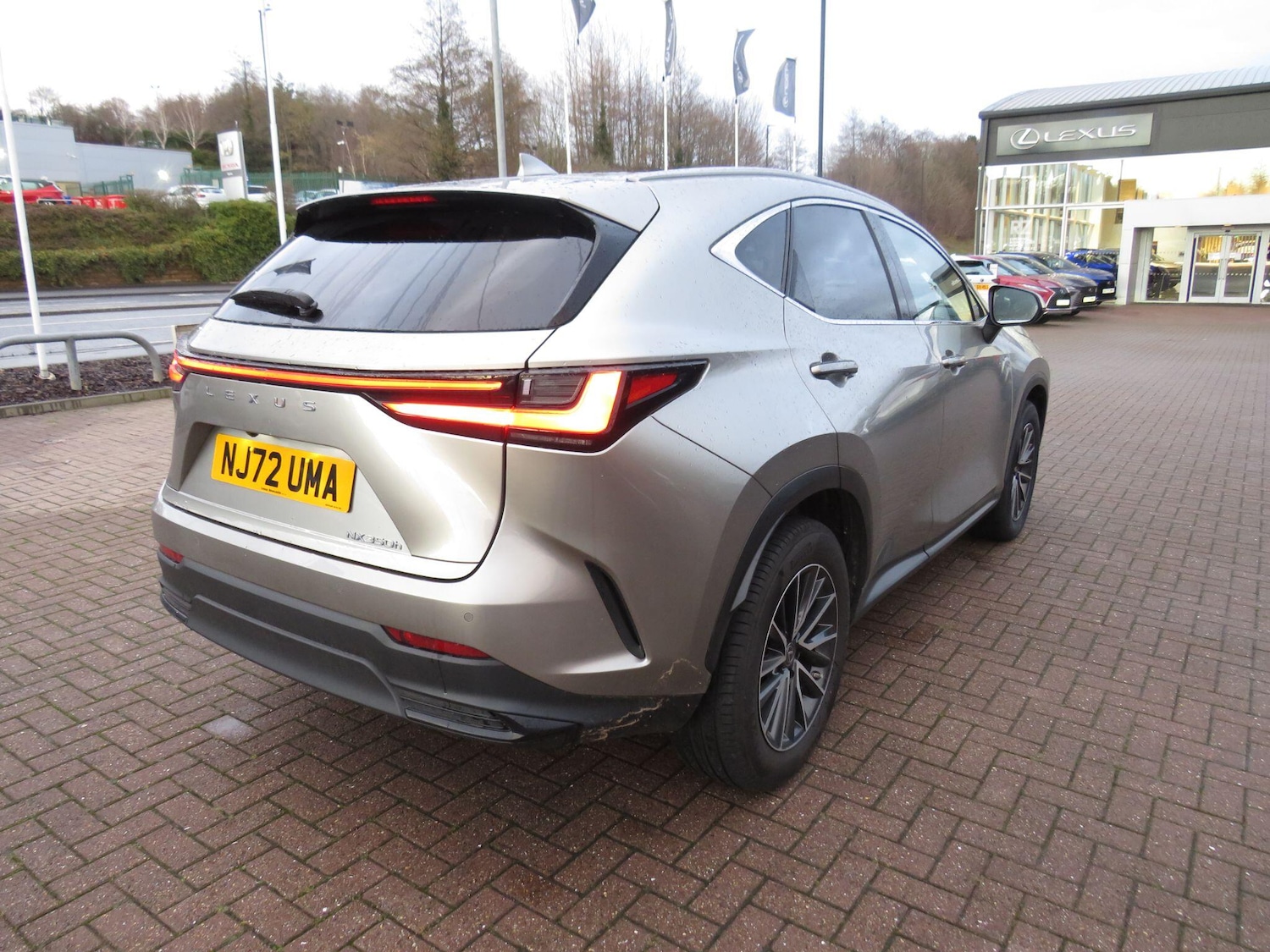 Used Lexus NX 2022 for sale - 77468990: Photo 5