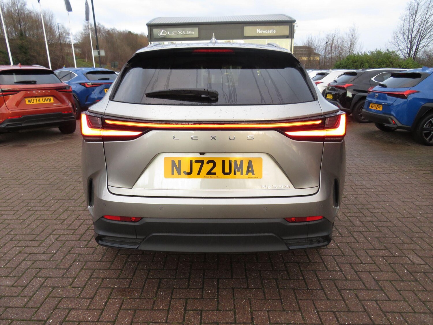 Used Lexus NX 2022 for sale - 77468990: Photo 6