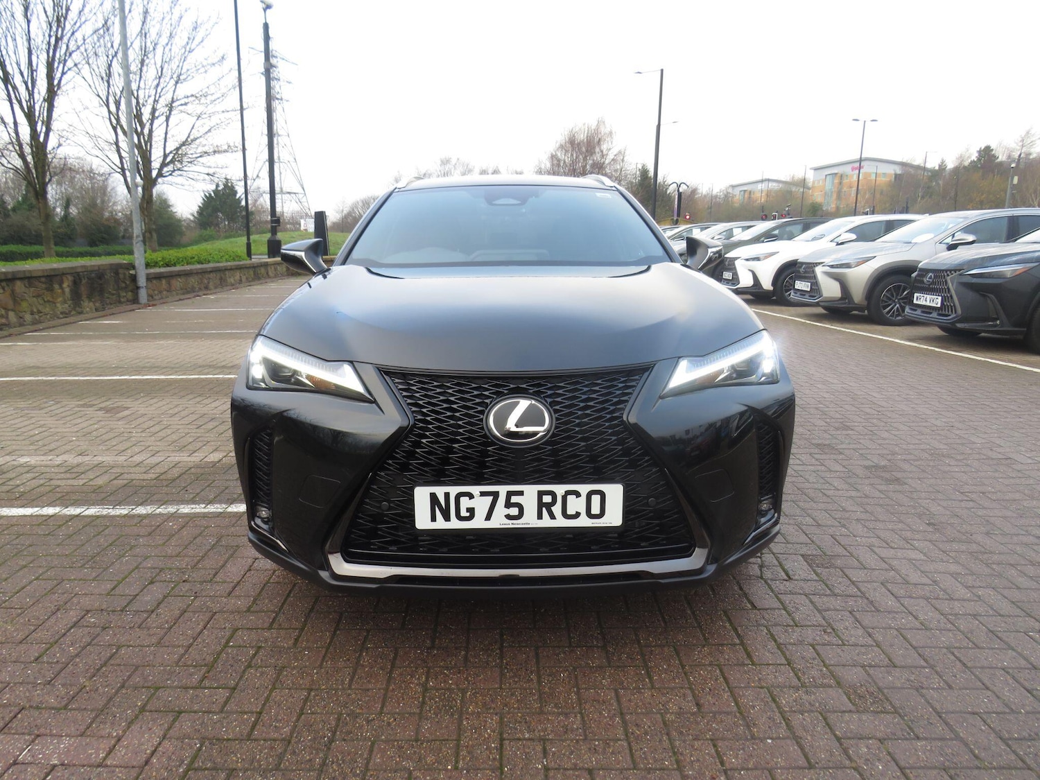 Used Lexus UX for sale - 77016240: Photo 10