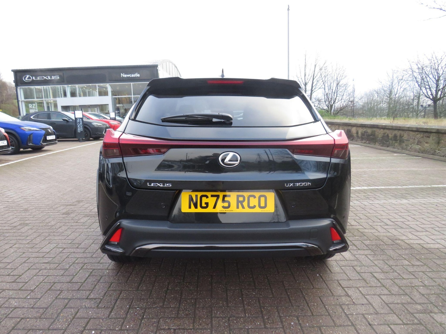 Used Lexus UX for sale - 77016240: Photo 6