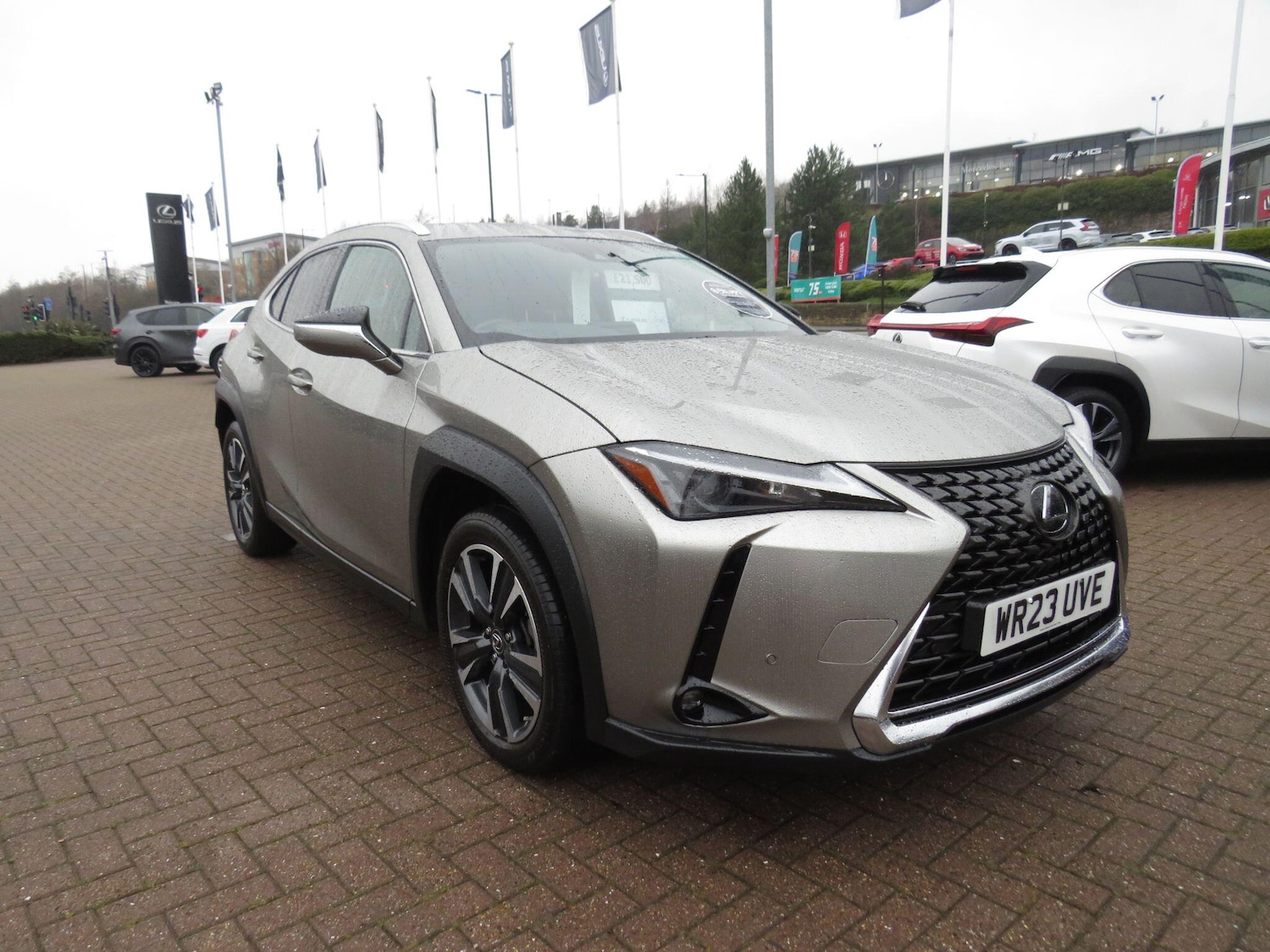 Used Lexus UX 2023 for sale - 77376080: Photo 1