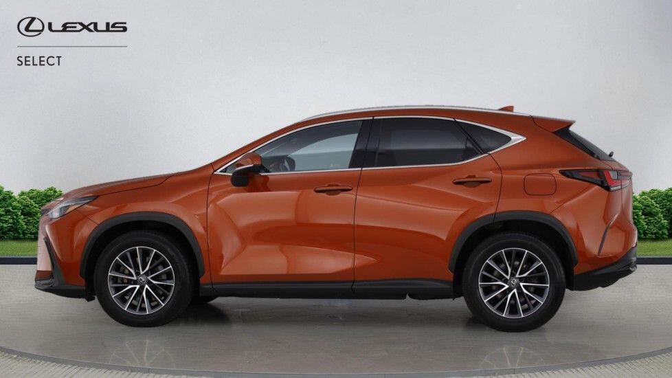 Used Lexus NX 2024 for sale - 77537701: Photo 8
