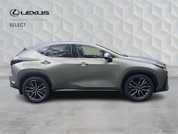 Used Lexus NX 2023 for sale - 79303963: Photo