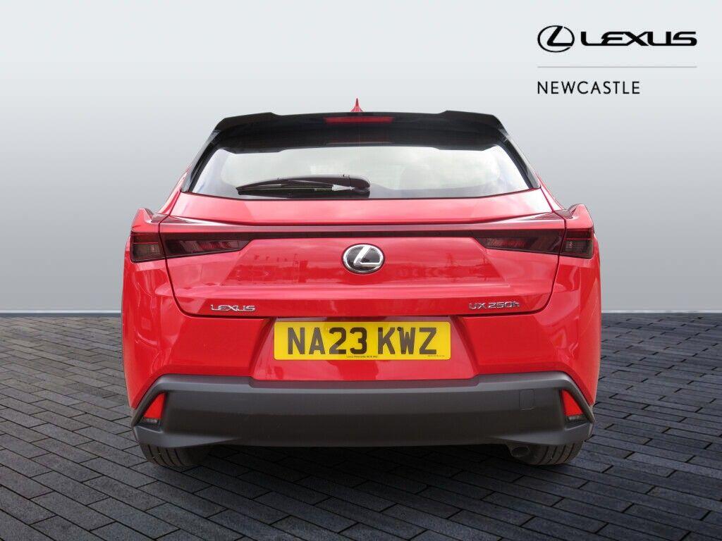 Used Lexus UX for sale - 77624938: Photo 6