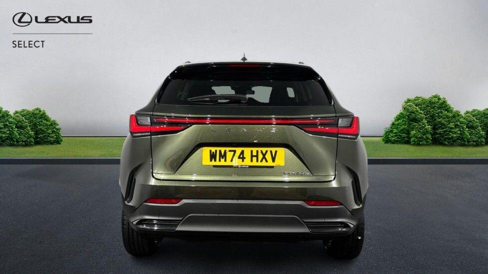 Used Lexus NX 2024 for sale - 77957169: Photo 6